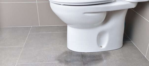 A toilet with a minor leakage