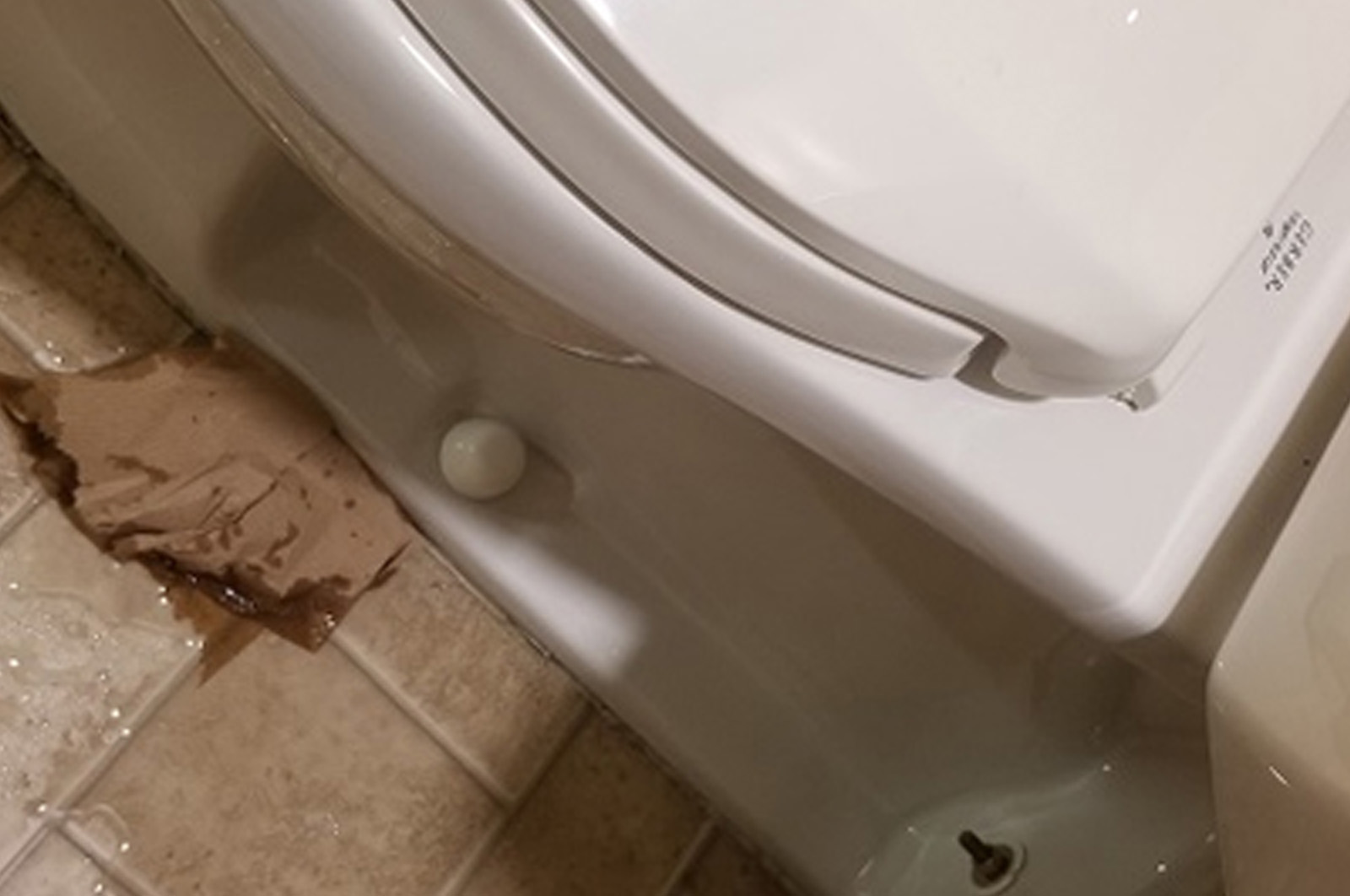 Why Is My Brand New Toilet Leaking From The Tank