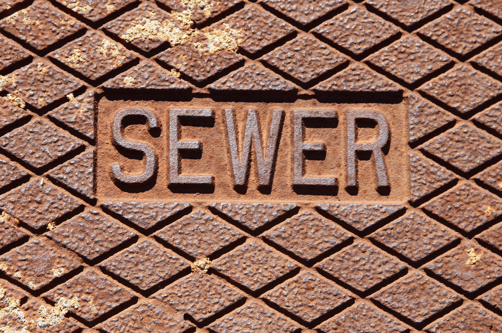 A sewer line cover