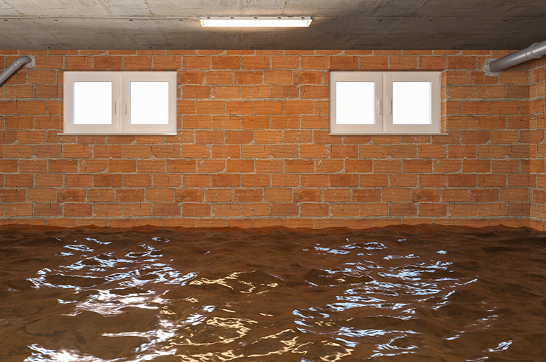  A flooded basement
