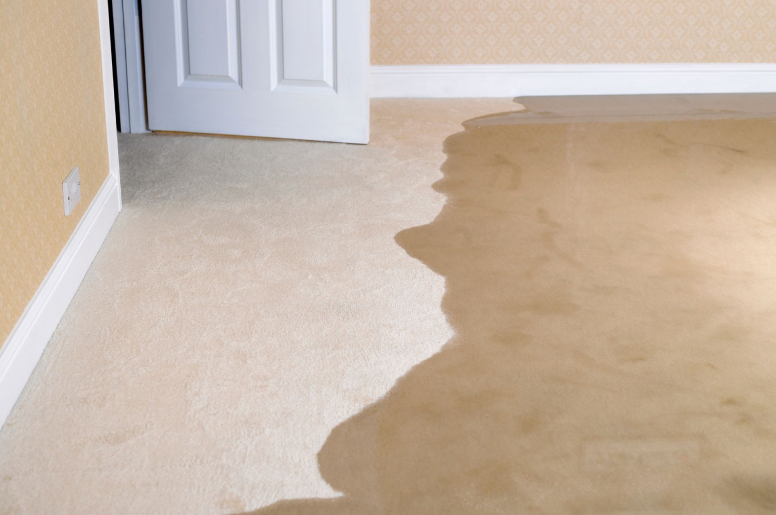 A flooded carpeted household room
